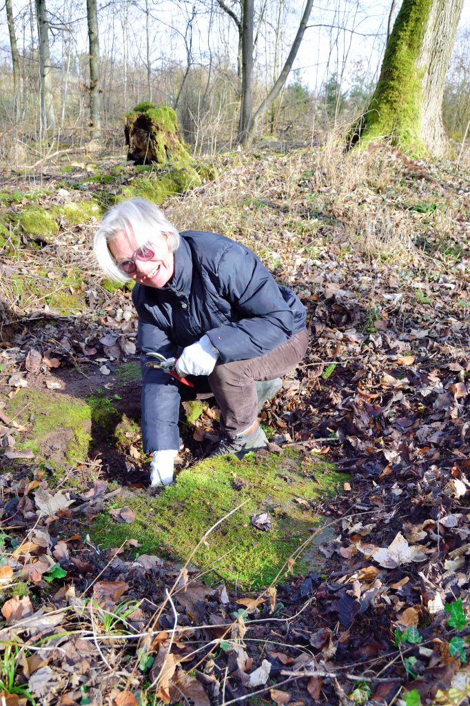 Pflegeeinsatz des Verschönerungsverins Kirchheim bei der Kleemeisterei im Talwald