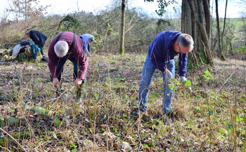 Pflegeeinsatz des Verschönerungsverins Kirchheim bei der Kleemeisterei im Talwald